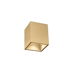 Downlight BOX MINI 1.0 hoekig, opbouwversie IP20, champagne dimbaar