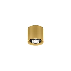 spot RAY MINI CEILING SURF 1.0 PAR16 GU10 IP20, gold 