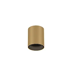 downlight RAY MINI 1.0 down, cylindrical, surface-mounted version IP20, champagner dimmable