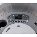 Plafondarmatuur voor buiten ENOLA ROUND CCT IP 65, antraciet, transparant 