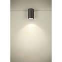 Plafondarmatuur voor buiten ENOLA ROUND CCT IP 65, antraciet, transparant 