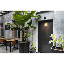 Plafondarmatuur NUMINOS SPOT PHASE S IP20, zwart dimbaar
