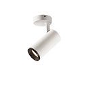 Plafondarmatuur NUMINOS SPOT PHASE M IP20, zwart, wit dimbaar