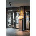 SLV LED Ceiling luminaire NUMINOS SPOT DALI L, 3000K, 36�, 2340lm, black/black