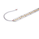 LED stripe GRAZIA PRO MAX FLEXSTRIP IP20, wit