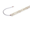 LED stripe GRAZIA PRO MAX FLEXSTRIP IP20, wit