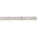 SLV LED stripe GRAZIA PRO MAX FLEXSTRIP IP20, wit