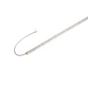 LED stripe GRAZIA IP FLEXSTRIP IP54, wit