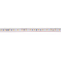 LED stripe GRAZIA IP FLEXSTRIP IP54, wit