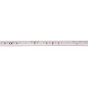 SLV LED stripe GRAZIA IP FLEXSTRIP IP54, wit