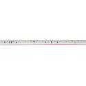 SLV LED stripe GRAZIA IP FLEXSTRIP IP54, wit