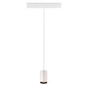 SLV Pendelarmatuur NUMINOS� XS TRACK 48V DALI aanstuurbaar IP20, zwart, wit dimbaar