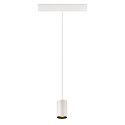 SLV Pendelarmatuur NUMINOS� XS TRACK 48V DALI aanstuurbaar IP20, zwart, wit dimbaar