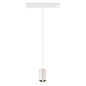 SLV Pendelarmatuur NUMINOS� XS TRACK 48V DALI aanstuurbaar IP20, chroom, wit dimbaar