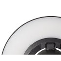SLV Wandarmatuur voor buitenshuis I-RING rond, schakelbaar, met diffuser, cardanisch draaien IP65, antraciet 