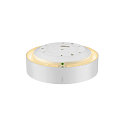 SLV wall and ceiling luminaire MEDO� PRO 30 round IP50, white dimmable