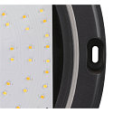 Wand- en plafondarmatuur OUTDOOR BULKHEAD V 360 CCT Switch, slagvast, schakelbaar IP65, zwart, gelakt 