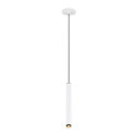 SLV Pendelarmatuur GRIP!S geschikt voor beeldschermwerkstations IP20, zwart, wit dimbaar