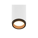 Plafondarmatuur GRIP!M DOUBLE IP20, zwart, wit, gelakt dimbaar