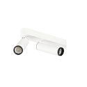 Plafondarmatuur GRIP!M DOUBLE IP20, zwart, wit, gelakt dimbaar