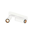 Plafondarmatuur GRIP!M DOUBLE IP20, zwart, wit, gelakt dimbaar