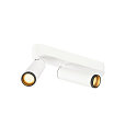 Plafondarmatuur GRIP!M DOUBLE IP20, zwart, wit, gelakt dimbaar