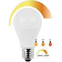 HWH Filamentlamp standaardvorm A60 CCT Switch, dimbaar E27 10W 806lm 3000-2000K 200� CRI > 80 dimbaar