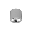 Downlight APOLLO MAXI rond, schakelbaar, gefacetteerd IP20, gepoedercoat, zilver 