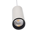 Deko-Light pendant luminaire LUCEA 20 IP20, transparent, traffic white dimmable