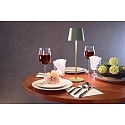 Deko-Light Tafellamp op batterijen CANIS CCT Switch, met Touch-Dimmer, zonder Lader IP65, mat, grijsgroen dimbaar