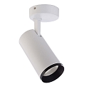 Plafondarmatuur LUCEA TILT 20 CCT Switch, instelbaar IP20, transparant, verkeerswit dimbaar