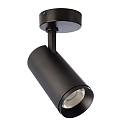 Plafondarmatuur LUCEA TILT 20 CCT Switch, instelbaar IP20, transparant, gitzwart dimbaar