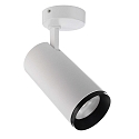 Plafondarmatuur LUCEA TILT 30 CCT Switch, instelbaar IP20, transparant, verkeerswit dimbaar