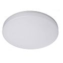 Wand- en plafondarmatuur ALTAIS 2 MOTION rond IP54, wit 