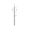 Deko-Light LED stripe 2835 SMD flexibel wit