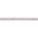 LED stripe LONG RUN