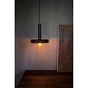 Faro Pendelarmatuur WHIZZ E27 IP20, goud, zwart 