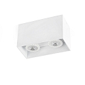 Plafondarmatuur TECTO 2-vlams GU10 IP20, wit mat 