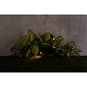 Faro Armatuur met grondpen SETH LED IP44, zwart mat 