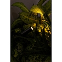 Faro Armatuur met grondpen SETH LED IP44, zwart mat 