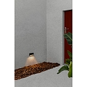 Faro Wandarmatuur voor buitenshuis MUST LED IP65, donkergrijs 