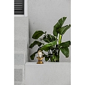Faro Wand- en plafondarmatuur MAUREN E27 IP44, messing 
