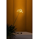 Faro Vloerinbouwarmatuur TRAS 25L / 13° / 700MA 12-vlams, stijf IP67, zwart mat dimbaar