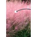 Faro Armatuur met grondpen CUCA 1193 LED IP65, zwart 