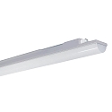damp-proof luminaire WNL14 9568 DALI controllable IP68, grey dimmable