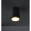 HEITRONIC Plafondarmatuur voor buiten NEGRO cilindrisch, incl. chauffeur IP65, antraciet dimbaar