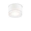 Outdoor wall / ceiling luminaire URANO SMALL, � 12cm, GX53 max. 15W, aluminium / acrylic, matt white