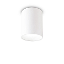 Plafondarmatuur NITRO ROUND groot, rond, met lensoptiek IP20, wit mat 