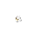 Ideal Lux Wandarmatuur NINFEA AP1 GX53 IP20, wit