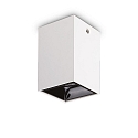 Plafondarmatuur NITRO hoekig IP20, zwart, wit 